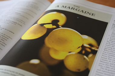@gaiwanstyle